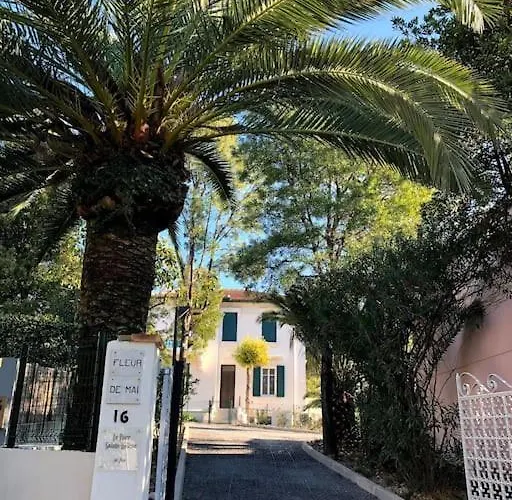 Blue Dream Lejlighed